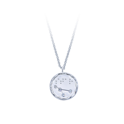 Silver Necklace SPE-5355